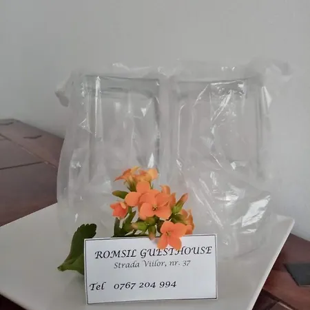 Romsil Casa Vacanta Costineşti