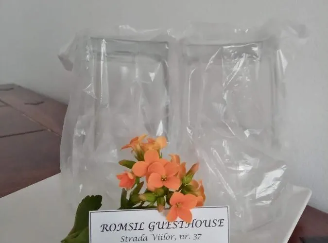 Romsil Casa Vacanta Костинешти